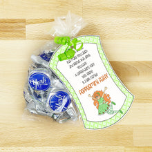 Load image into Gallery viewer, PRINTABLE St Patrick's Day Activity "12 Leprechaun Treats" (Printable St Patrick's Game for Kids!)